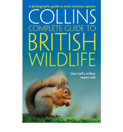  British Wildlife