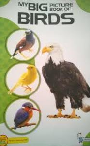 My Big Picture Book Of Birds