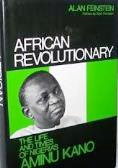 African Revolutionary